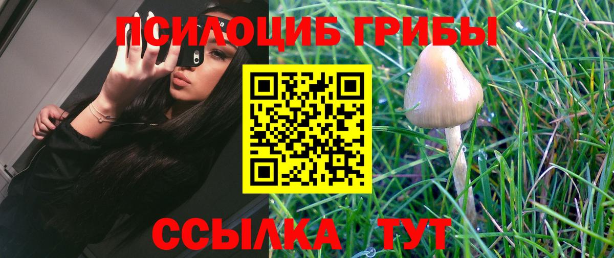 Псилоцибиновые грибы мицелий Бахчисарай